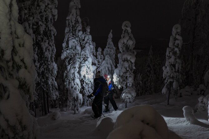 Small-Group Aurora Borealis Snowshoeing Adventure From Rovaniemi - Cancellation Policy