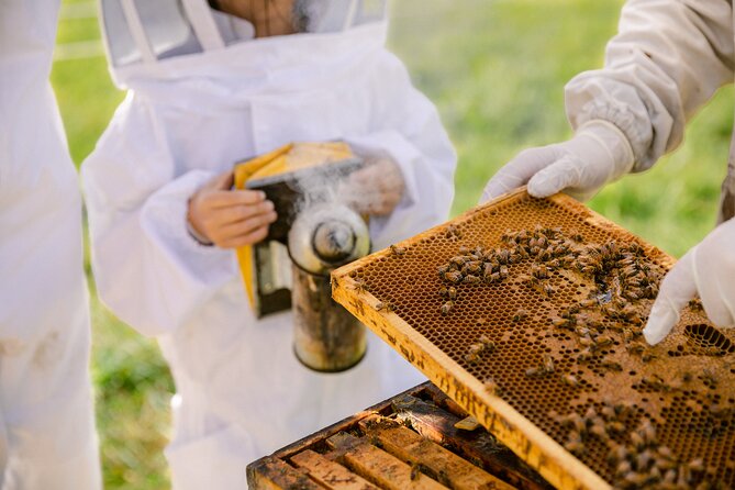 Small-Group Beekeeping Experience in Tauherenikau - Cancellation Policy Information