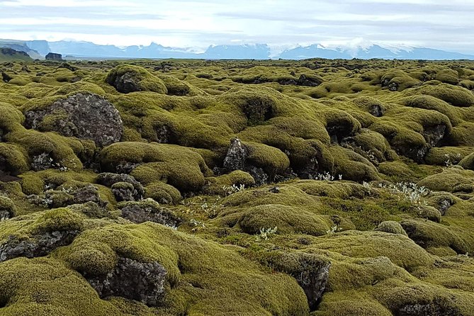 Small Group Day Tour to Lakagigar Volcano by Super Jeep From Klaustur - Group Size