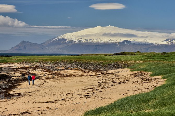 Small-Group Day Trip to Snaefellsnes National Park - Tour Logistics and Customer Satisfaction