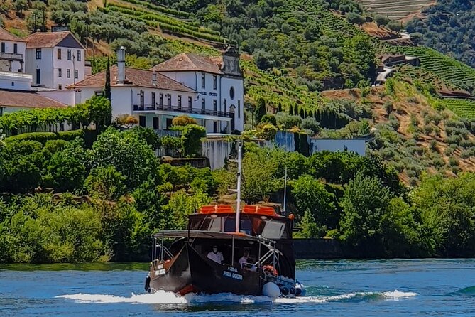 Small Group Douro Wine Valley Tour With Lunch and Wine Tasting - Additional Tips