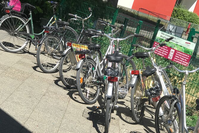 Small-Group Historical Bike Tour in Berlin - Guides