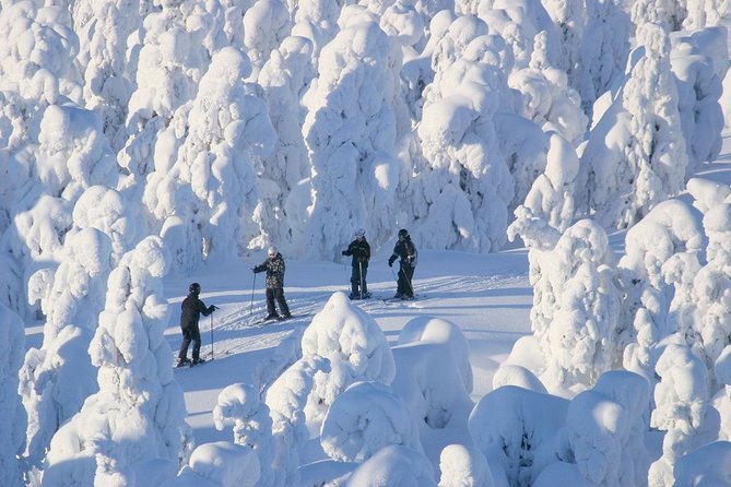 Small-Group Lapland Cross Country Ski - Pickup Details