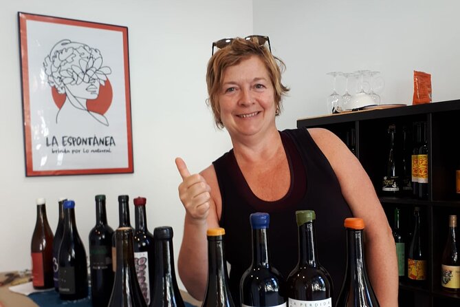 Small-Group Natural and Organic Wine Tasting Near Sitges - Practical Information