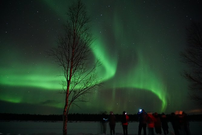 Small-Group Northern Lights Hike  - Rovaniemi - Experience Expectations