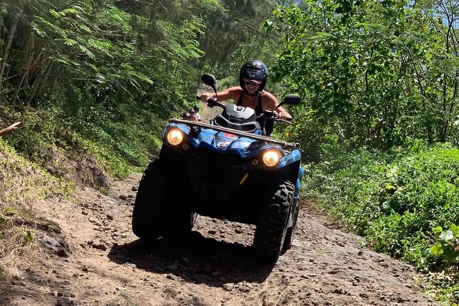 Small-Group Off-Road Tour by ATV, Bora Bora - Expectations