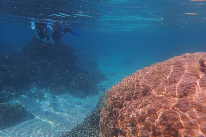 Small-Group Snorkeling Tour of Off-Shore Wrecks, Tahiti - Accessibility and Transportation