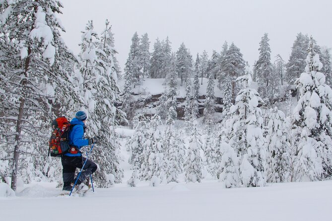 Small-Group Snowshoeing Adventure In Lapland - Cancellation Policy