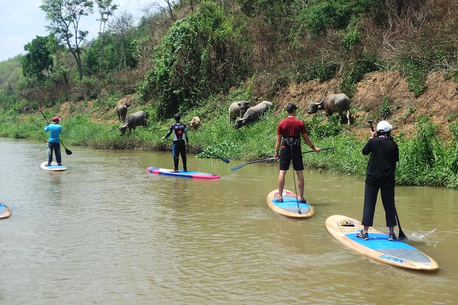Small-Group Stand Up Paddle Boarding on Mae Ping River - Inclusions
