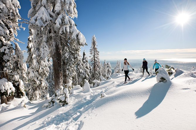 Small Group Tour: Capilano Suspension Bridge and Grouse Mountain From Vancouver - Cancellation Policy and Requirements