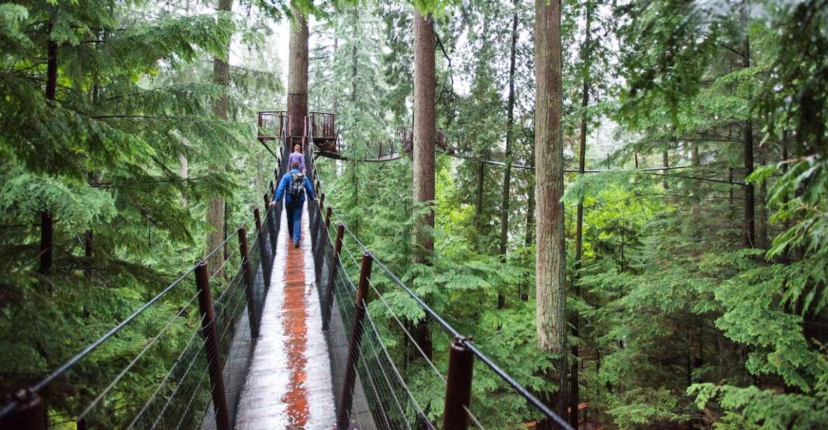 Small Group Tour of Capilano Bridge & Grouse Mountain - Customer Reviews