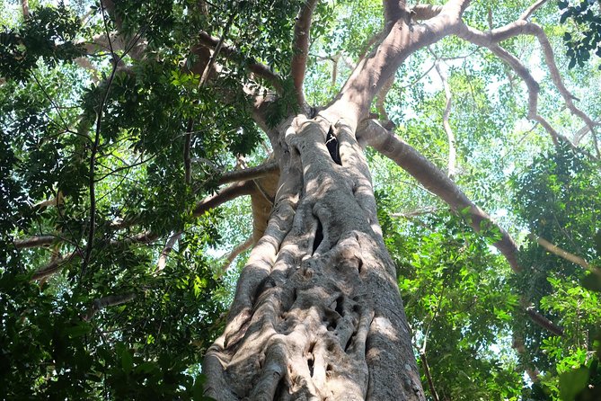 Small Group : Trekking Trip in Chiang Mai (Doi Suthep Area) With Market Tour - Important Reminders