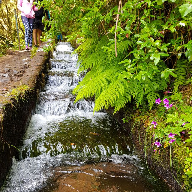 Small Group Walks Rabaçal 25 Fontes - Review Summary