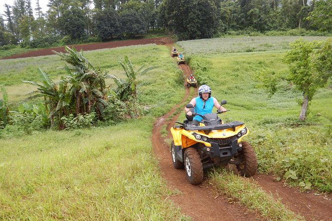Small Quad Tour 2h30 Quad Excursion in Moorea (Single or Two-Seater) - Traveler Experiences
