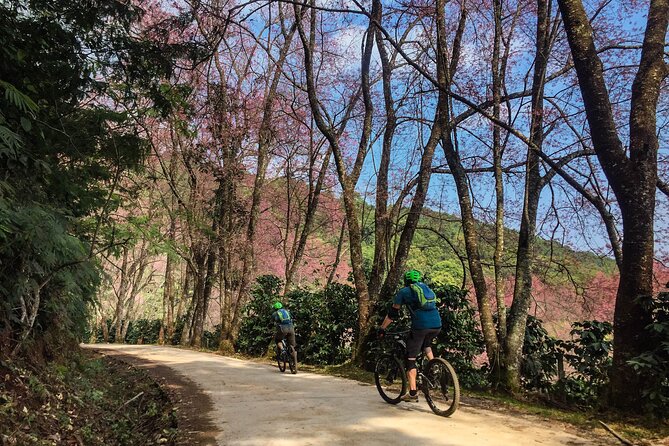 Smoke on the Water Trail Mountain Biking Tour Chiang Mai - Traveler Reviews