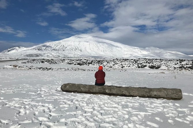 Snæfellsnes & Vatnshellir Lava Cave - PRIVATE TOUR - Inclusions and Insights