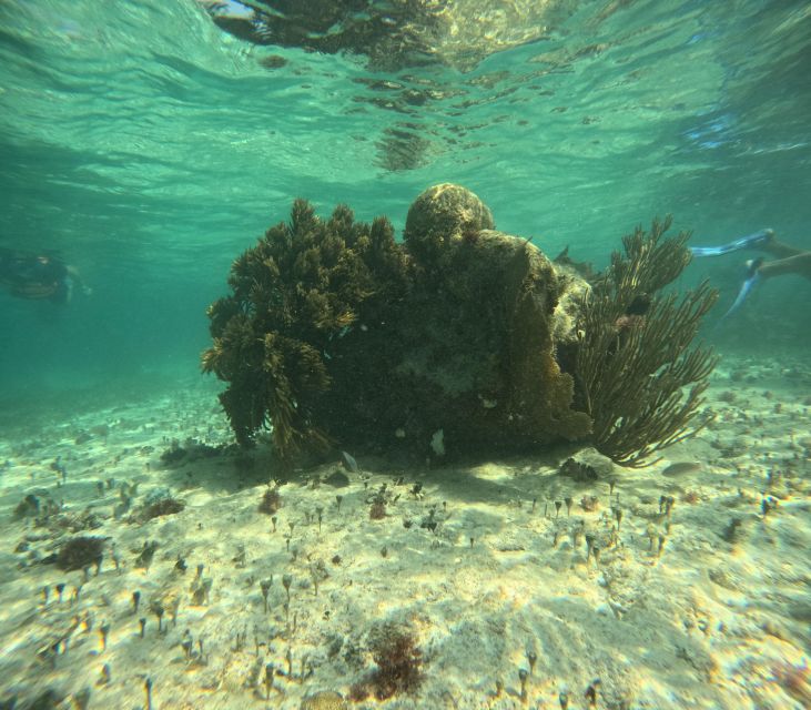 Snorkel Paradise Cancun and Underwater Museum in Nizuc - Inclusions in the Package