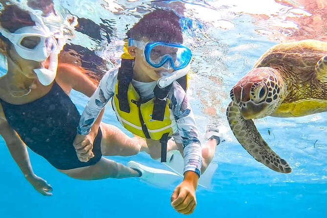 Snorkeling Activity in Miyako Japan - Suitable for All Skill Levels