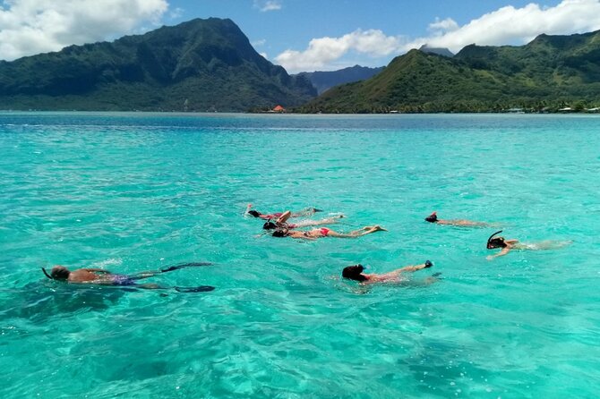 Snorkeling Excursion and Encounter With Marine Fauna in Moorea - Captivating Marine Life Experiences