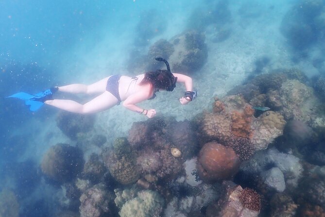 Snorkeling Full Day Experience From Bangkok - Customer Support and Assistance