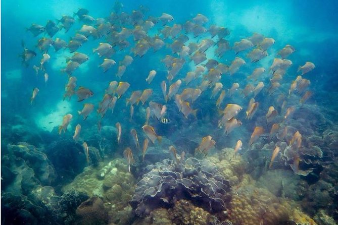 Snorkeling ( Start at Ko Kut) - Tour Expectations and Accessibility