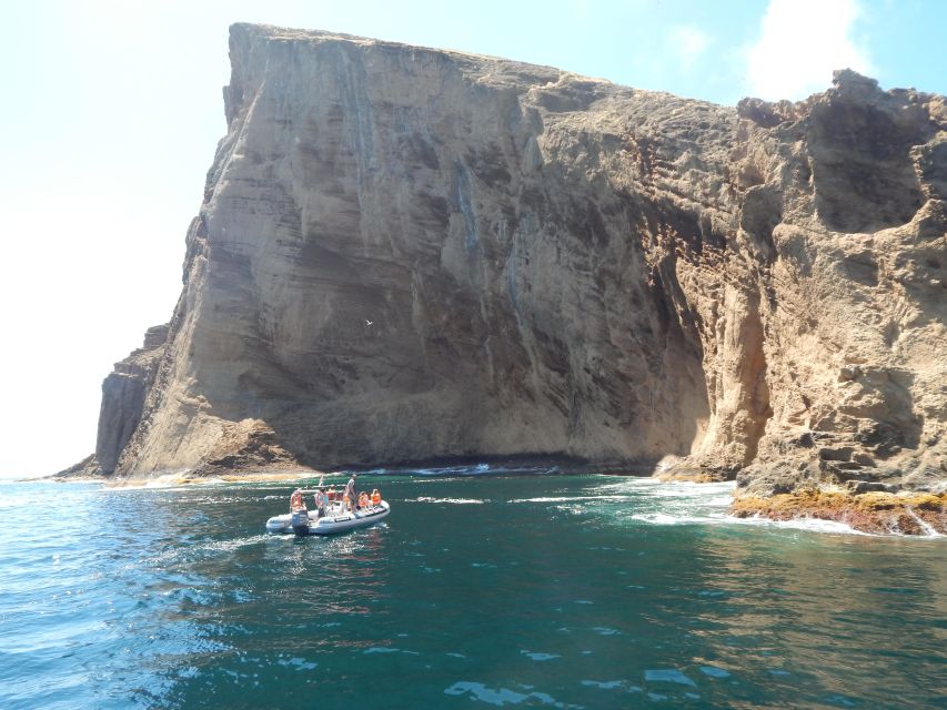 Snorkeling Wildlife in Terceira Island - Small Group Limitation