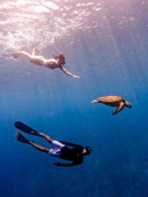 Snorkeling With Turtle and Underwater Statue in Gilis - Experience