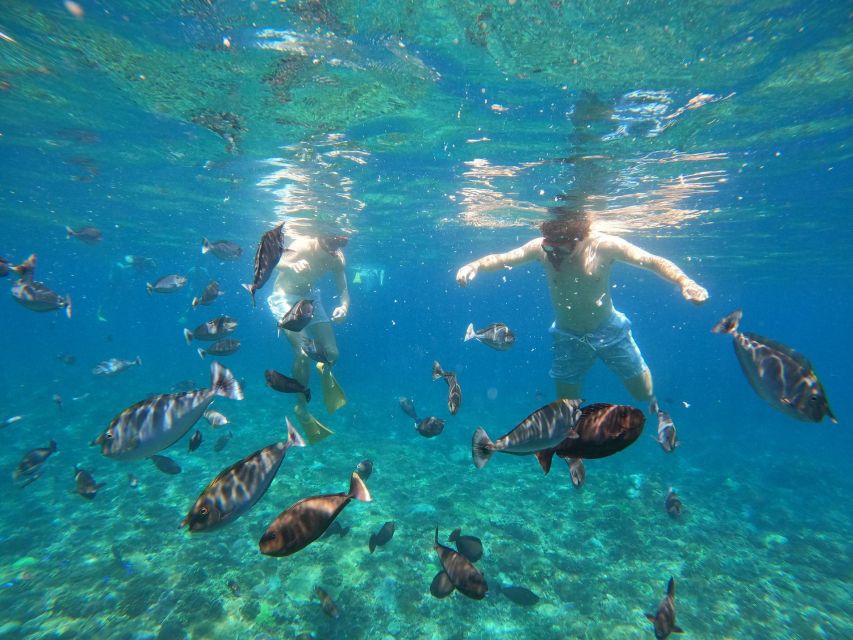 Snorkling & West Day Trip Nusa Penida Island - Important Information