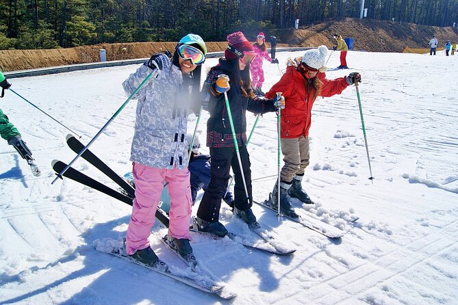 Snow or Ski Day Trip to Elysian Ski Resort From Seoul - No Shopping - Traveler Reviews