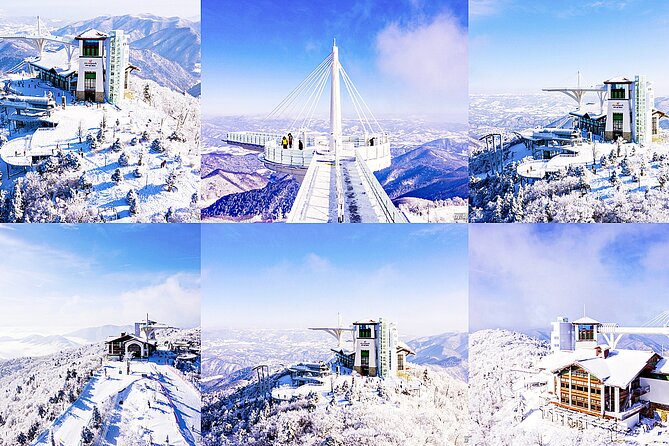 Snow or Ski Day Trip to Yongpyong Resort From Seoul - Cancellation Policy