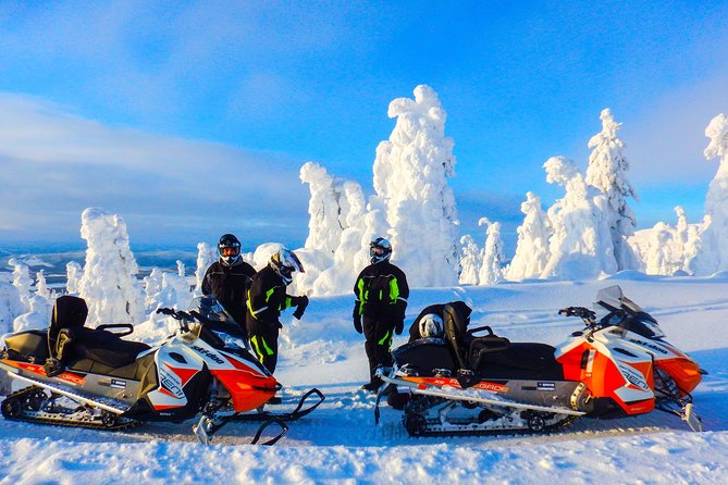 Snowmobile Adventure in Swedish Lapland (Day Tour) - Booking Details