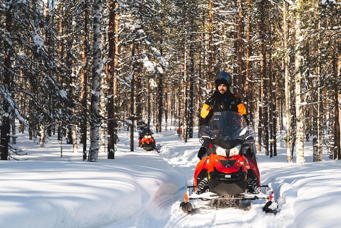 Snowmobile Safari Into the Arctic Circle Forest - Snowmobile Driver Requirements
