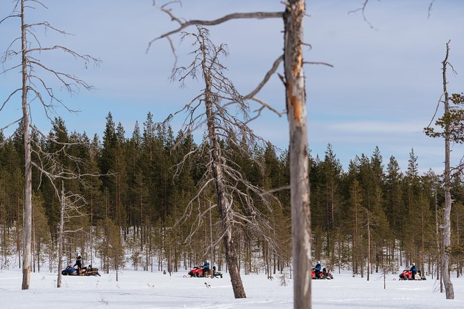 Snowmobile Safari Into the Wilderness, Apukka Resort Rovaniemi - Understanding the Cancellation Policy