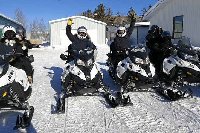 Snowmobile Tour - Reviews and Pricing