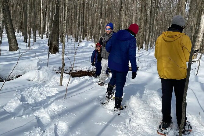 Snowshoe Awenda Provincial Park on Beautiful Georgian Bay - Scenic Views