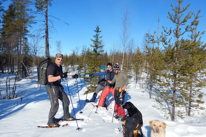 Snowshoe Hike Into Laplands White Wilderness - Photography Opportunities