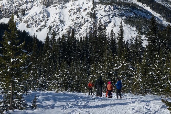 Snowshoeing in Kananaskis - Snowshoeing in Kananaskis: Health and Safety