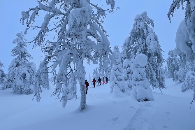 Snowshoeing in Pallas-Yllästunturi National Park - Safety Tips for Winter Hiking