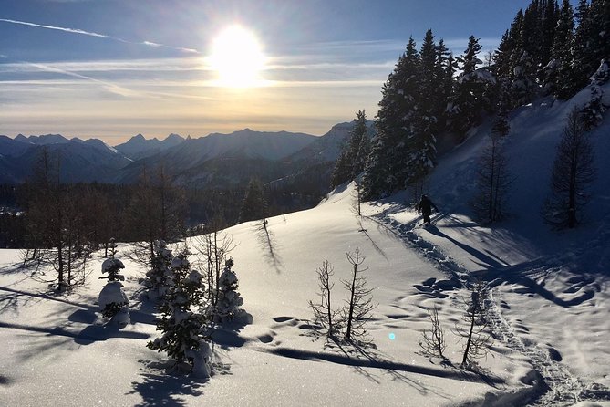 Snowshoeing Tour From Baniff  - Banff - Expectations & Requirements