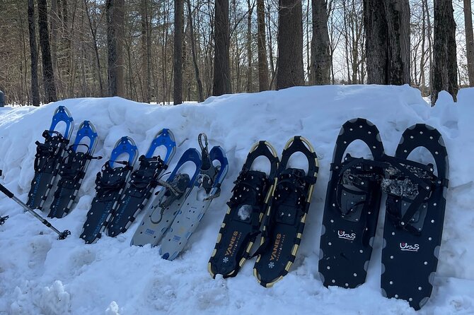 Snowshoeing With Mountain Goats Private Activity - Tour Experience Highlights