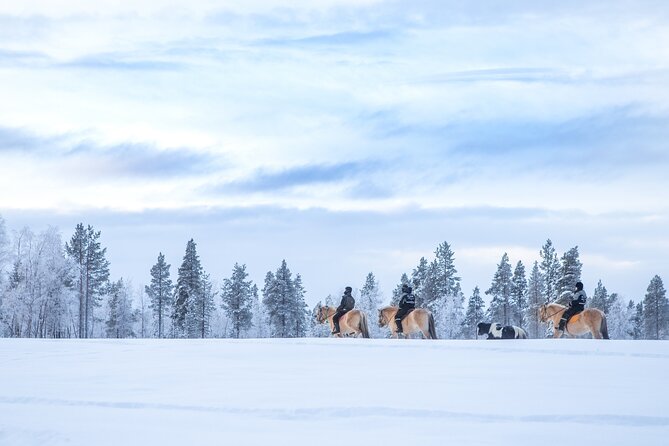 Snowy Nature on Horseback in Apukka Resort, Rovaniemi - Group Size and Operator Information