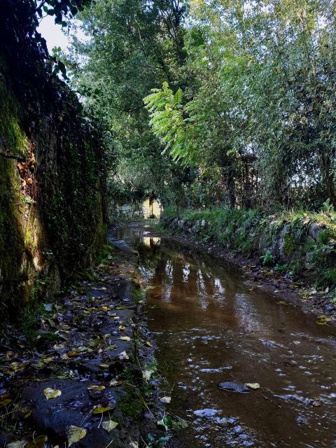 Somewhere Breath Taking-Self-guided Village Tour - Inclusions