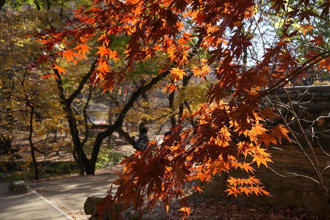 Songnisan National Park & Beopjusa Temple UNESCO Site Private Tour - Transportation Details