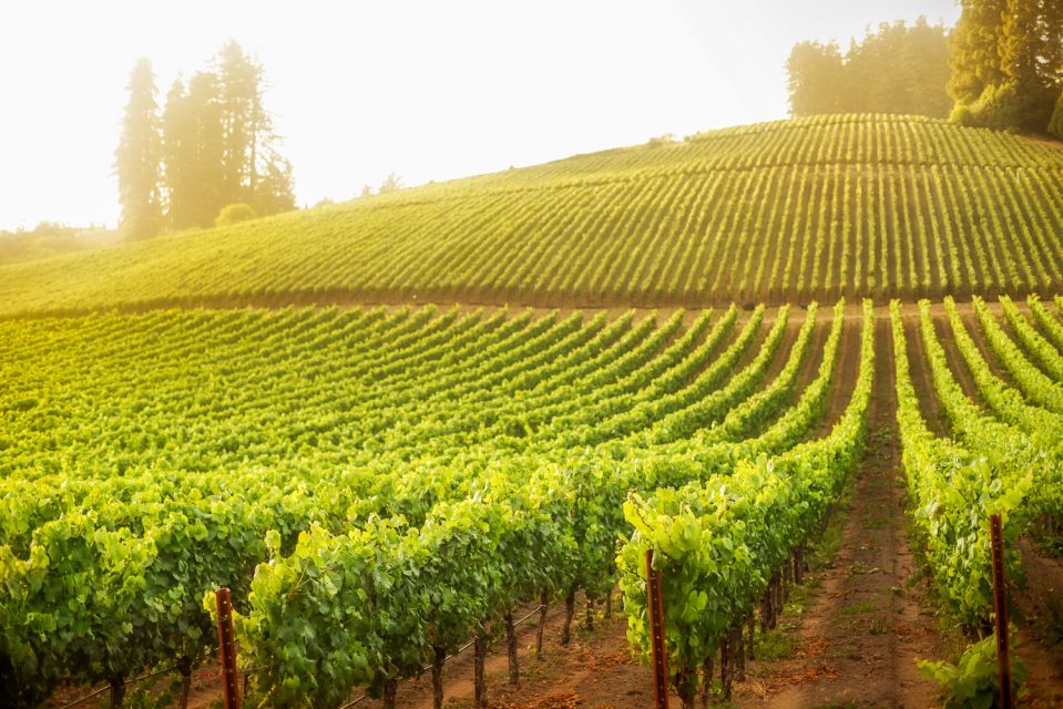 Sonoma County: Tasting Pass (Choose 1, 2, or 90 Days) - Participating Venues