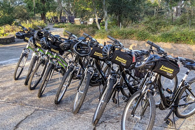 Sonoma Valley Pedal Assist Bike or Regular Bike Tour - Tasting Options