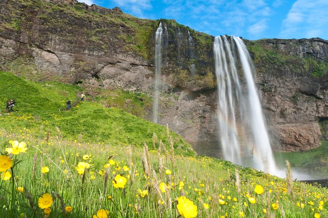 South Coast Tales! - Small Group Adventure From Reykjavik - Tour Guides and Reviews