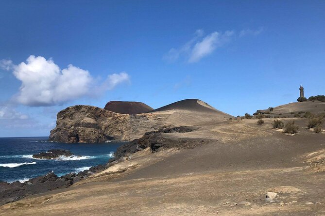South Faial Island Half-Day Private Highlights Tour - Traveler Experience and Reviews