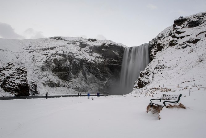 South Iceland, Glacier and Black Sand Beach Small Group Tour - Tour Guides