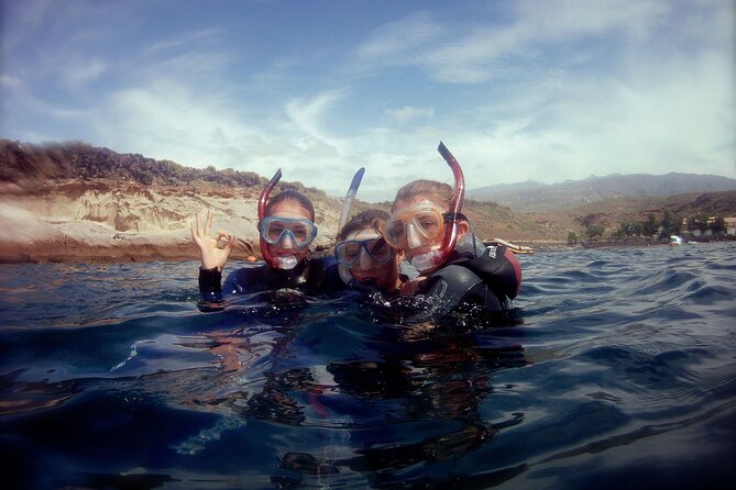 South Tenerife Snorkeling Trip - Additional Trip Details