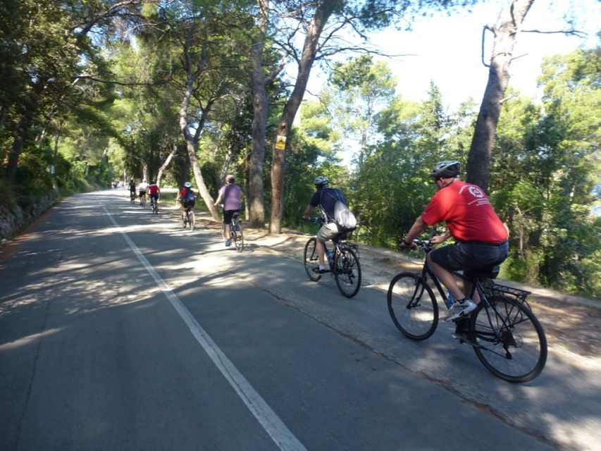 Split 3-Hour Guided Bike Tour - Meeting Point and End Location